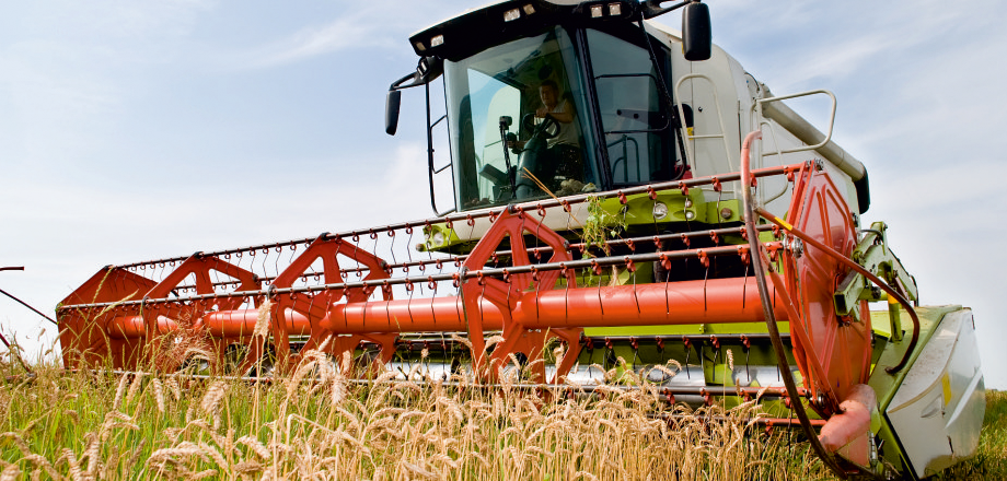 Landwirtschaftliche Buchstelle